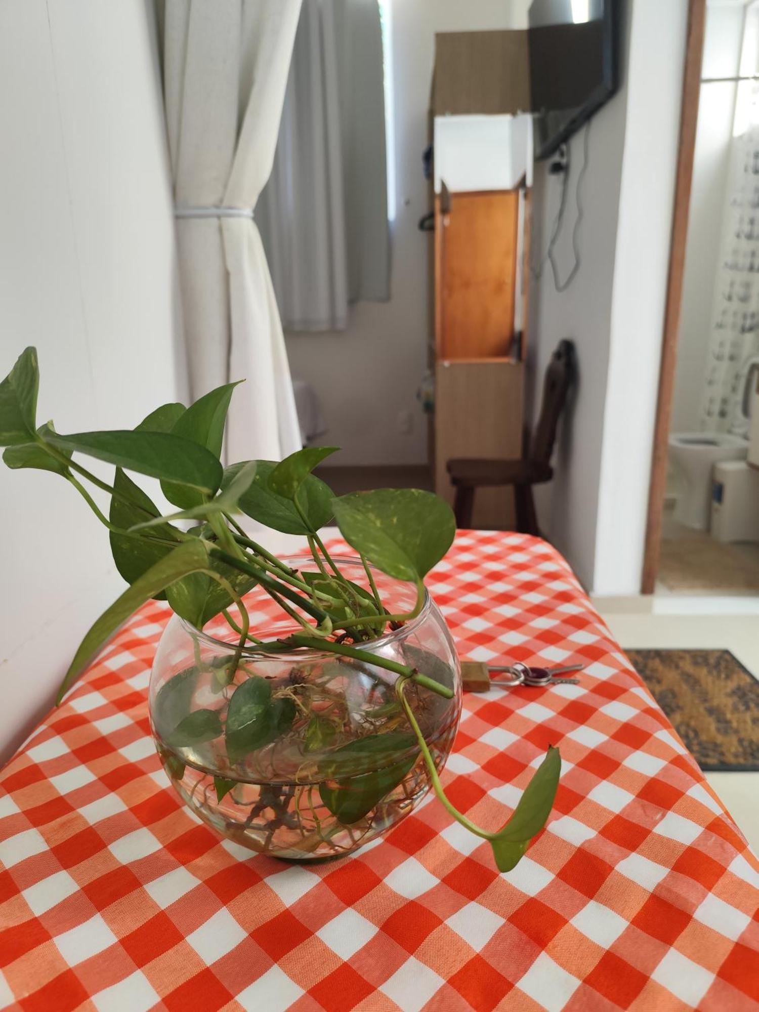 Apartamento Cristo Redentor Pao De Acucar Carnaval *